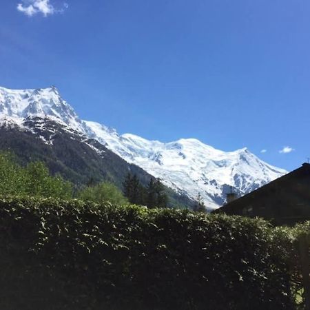 Studio Au Calme Avec Jardin Et Vue Mont-Blanc Chamonix Zewnętrze zdjęcie