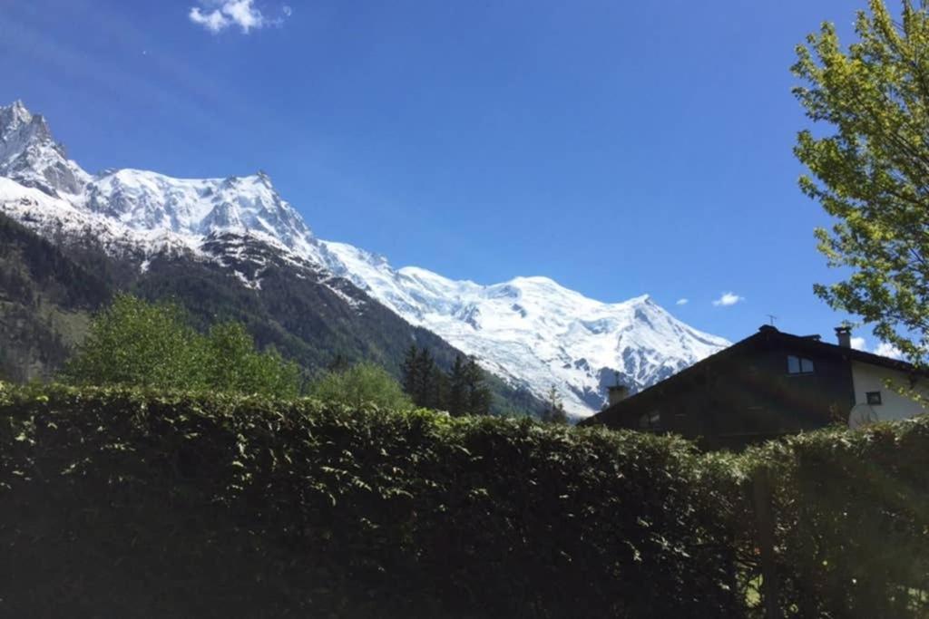 Studio Au Calme Avec Jardin Et Vue Mont-Blanc Chamonix Zewnętrze zdjęcie