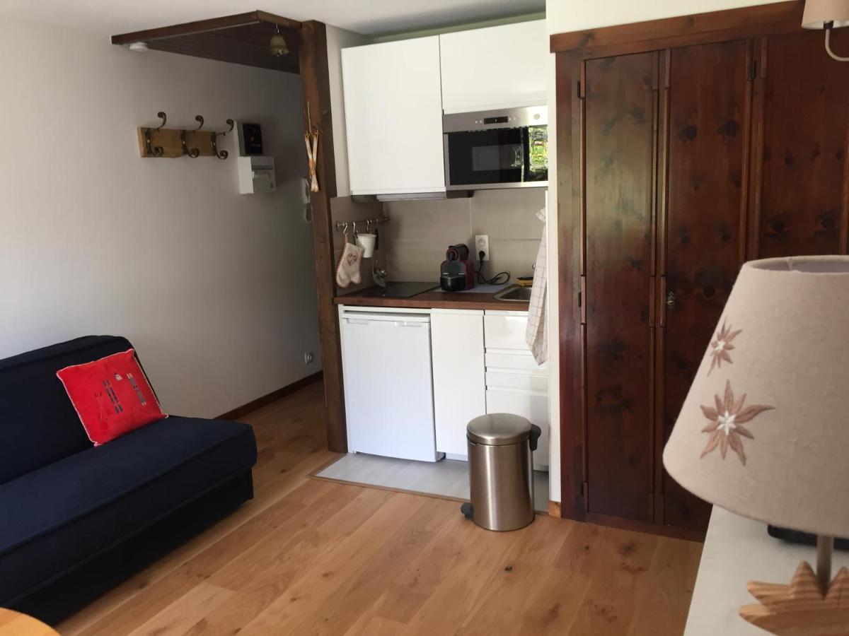 Studio Au Calme Avec Jardin Et Vue Mont-Blanc Chamonix Zewnętrze zdjęcie