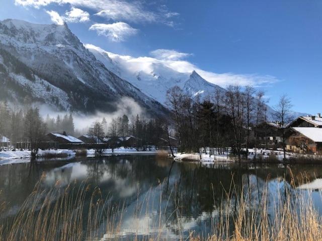 Studio Au Calme Avec Jardin Et Vue Mont-Blanc Chamonix Zewnętrze zdjęcie