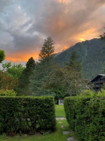 Studio Au Calme Avec Jardin Et Vue Mont-Blanc Chamonix Zewnętrze zdjęcie